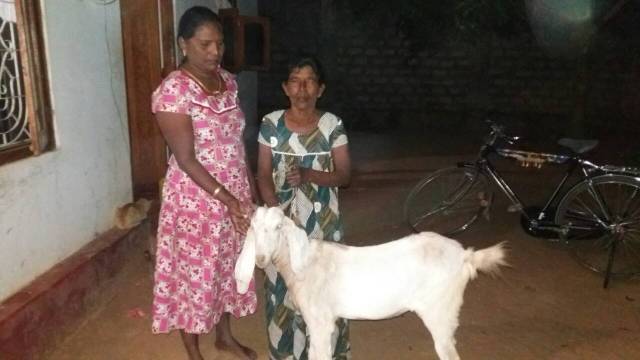 56574e6a-e58e-40f8-8e30-c7a58fc883f4